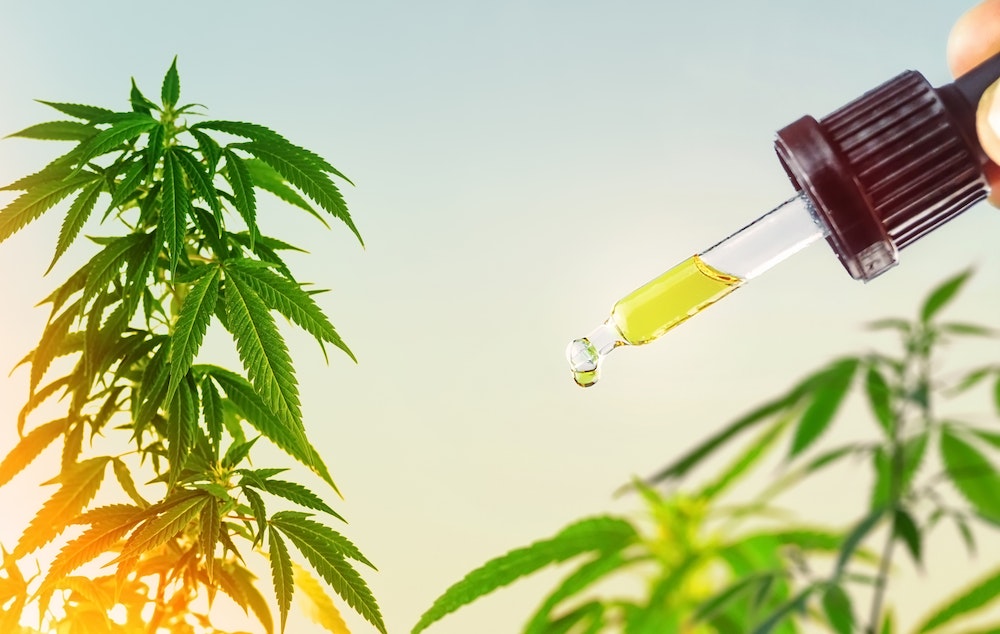 Les défis de la gestion des stocks pour les entreprises de CBD