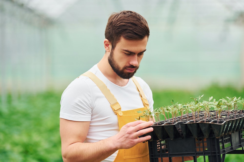 Le marketing digital de la Coopérative d'activités et d'emplois : un levier de développement