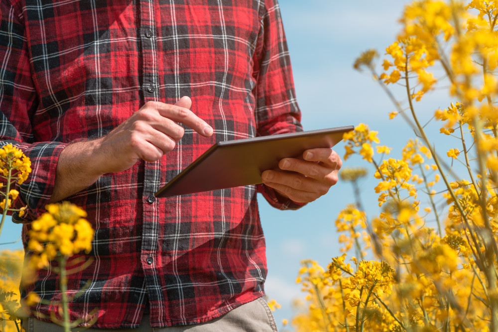 Les solutions innovantes pour faciliter la gestion des notes de frais